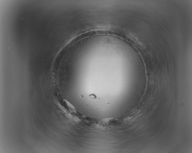 X0000073861208200608241100