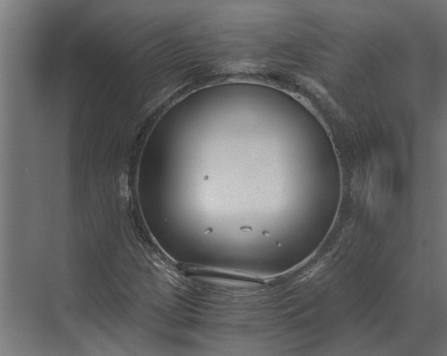 X0000073861209200608241100