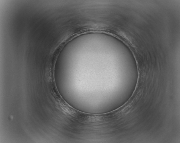 X0000073861211200608241100