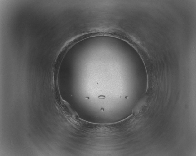 X0000073861214200608241100