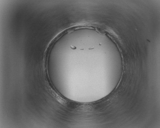 X0000073861216200608241100