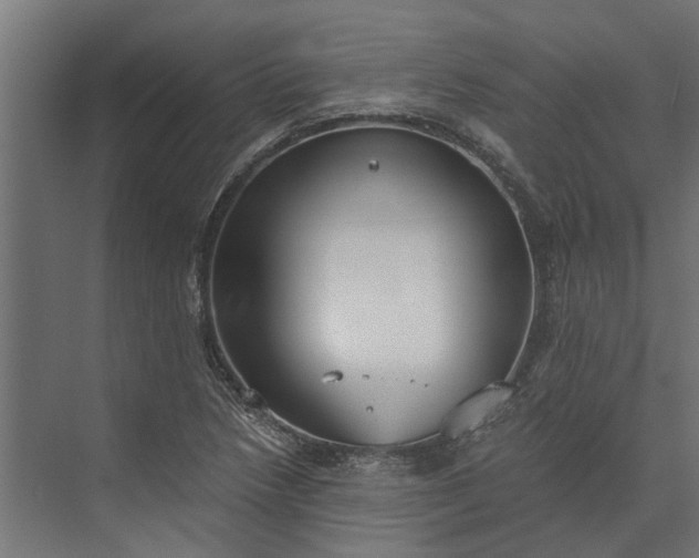 X0000073861218200608241100