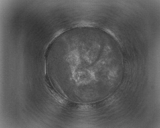 X0000073861219200608241100