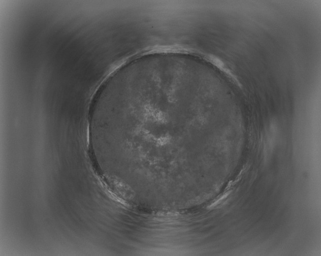 X0000073861221200608241100