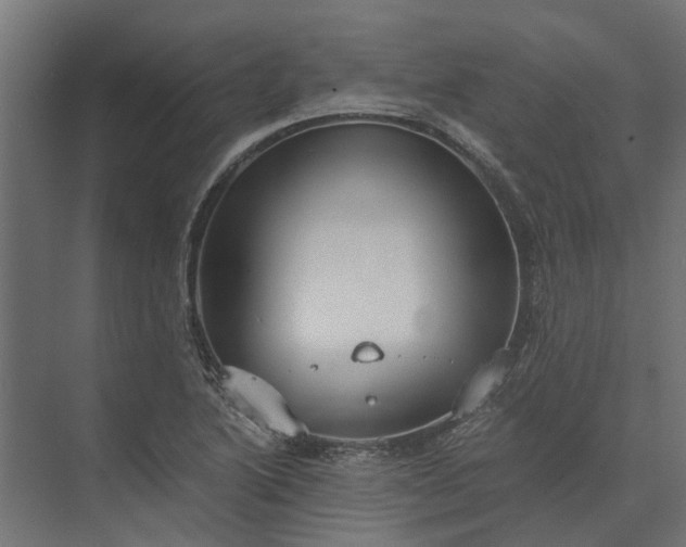 X0000073861222200608241100