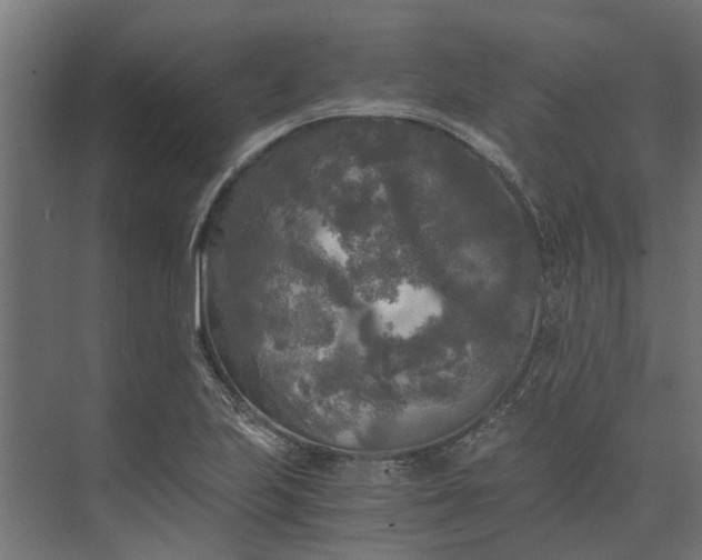 X0000073861223200608241100