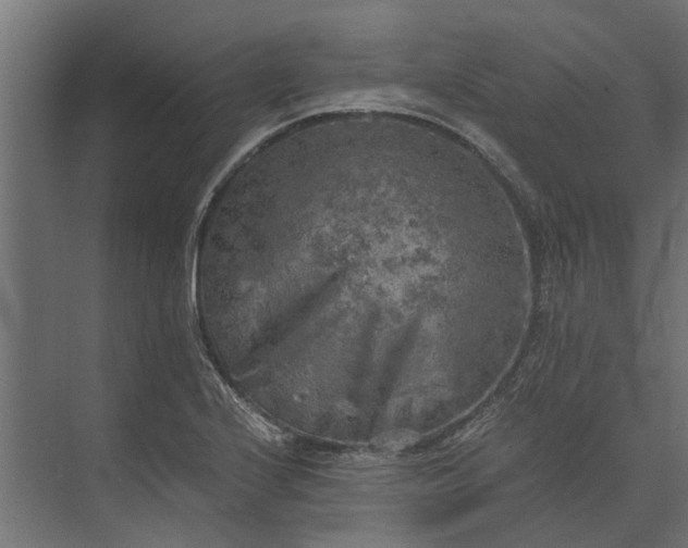 X0000073861224200608241100