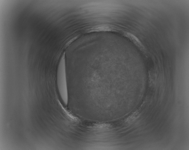 X0000073861225200608241100