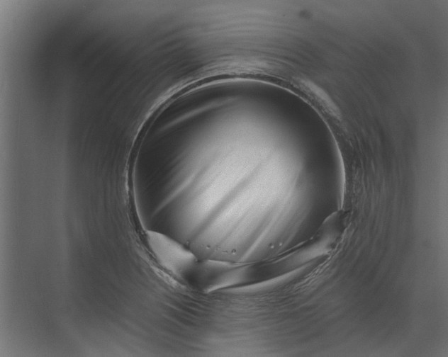 X0000073861226200608241100