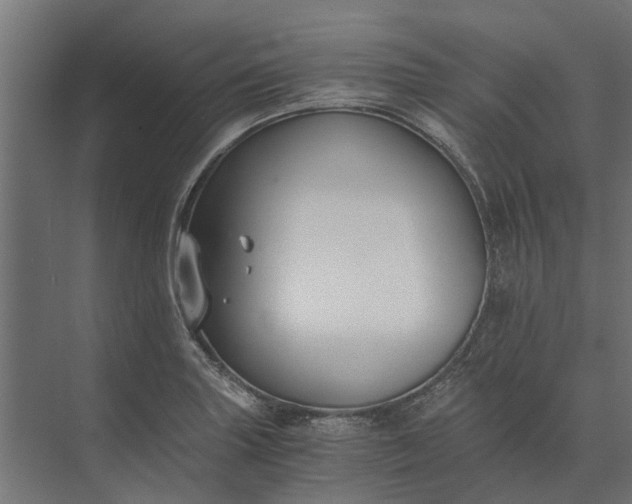 X0000073861227200608241100