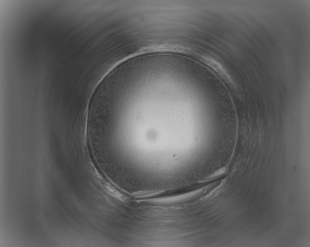 X0000073861228200608241100