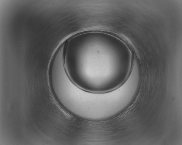 X0000073861230200608241100