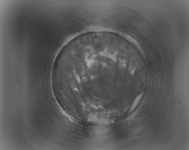 X0000073861231200608241100