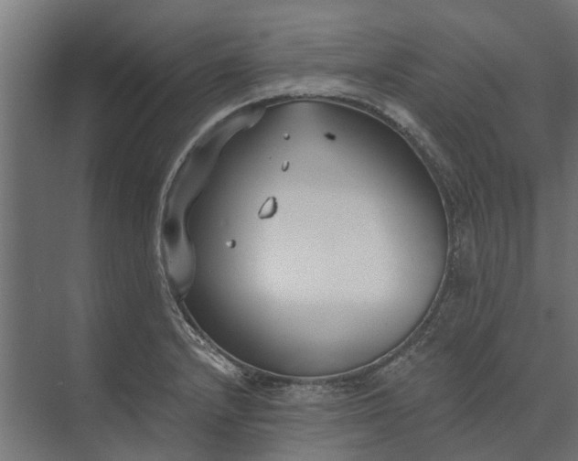 X0000073861232200608241100