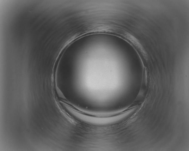 X0000073861234200608241100