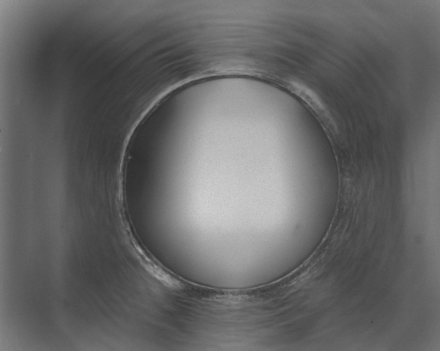 X0000073861236200608241100