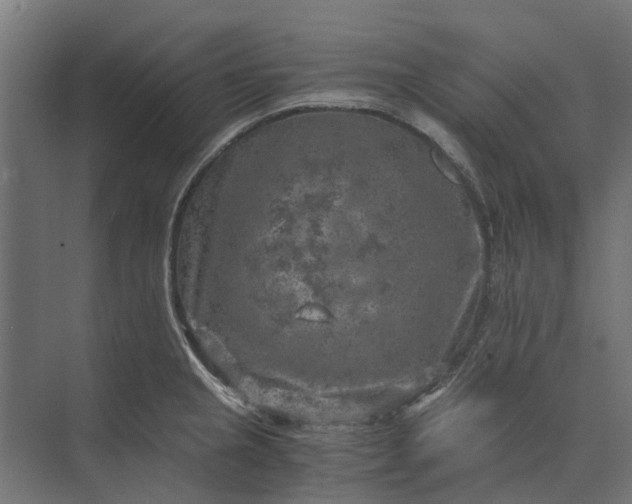 X0000073861237200608241100