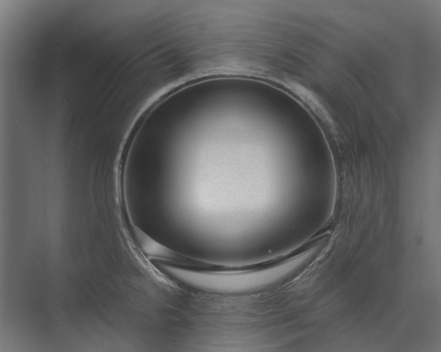 X0000073861238200608241100