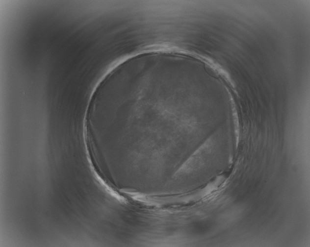 X0000073861239200608241100