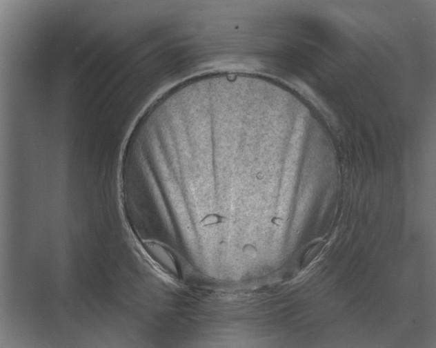 X0000073861240200608241100