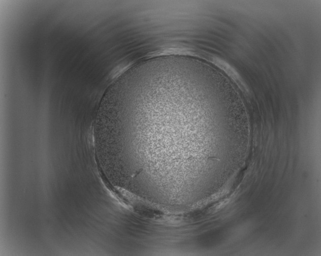 X0000073861241200608241100