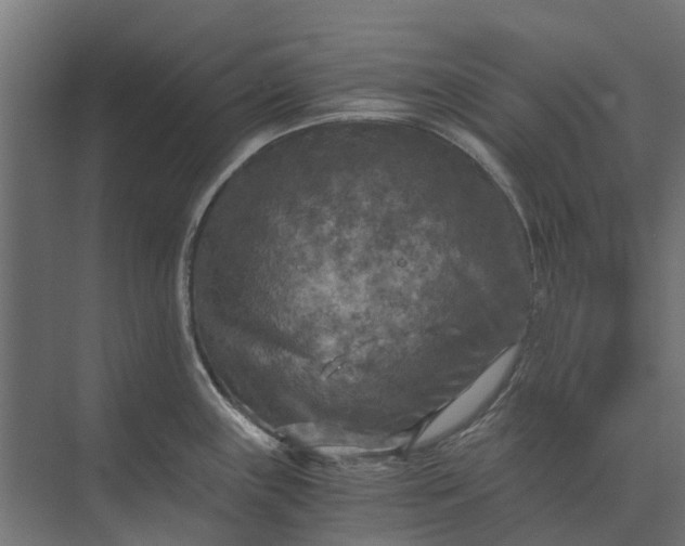 X0000073861243200608241100