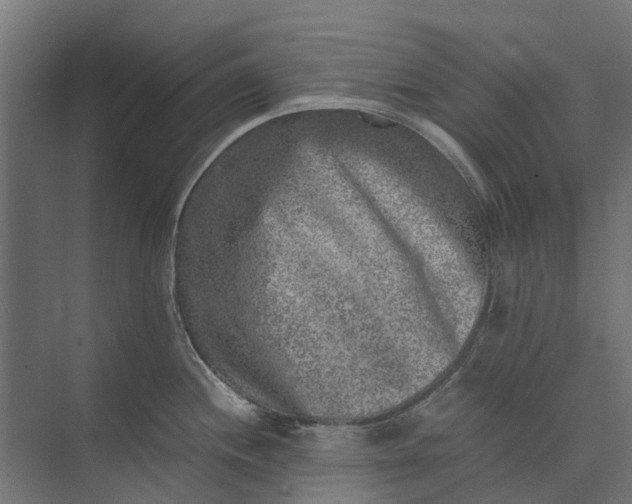 X0000073861244200608241100