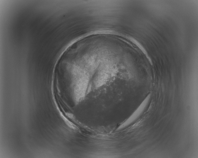 X0000073861245200608241100