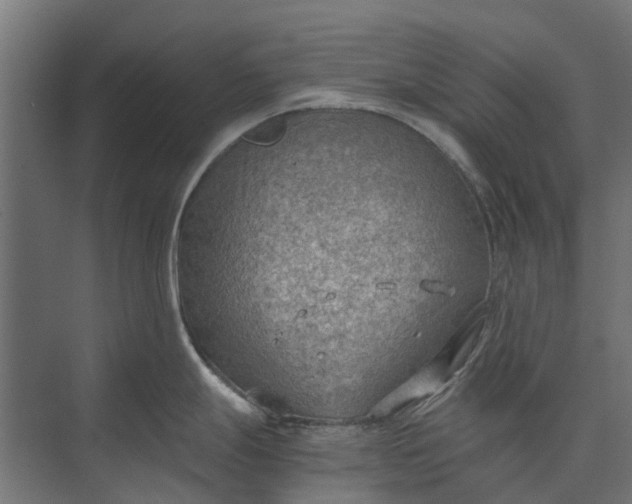 X0000073861247200608241100