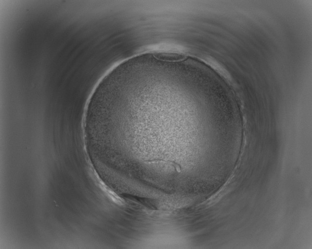 X0000073861248200608241100