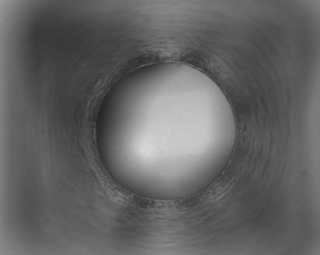 X0000073861249200608241059