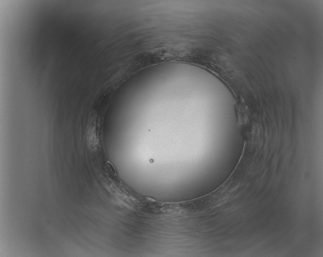 X0000073861250200608241059