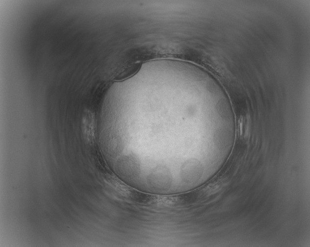 X0000073861251200608241059