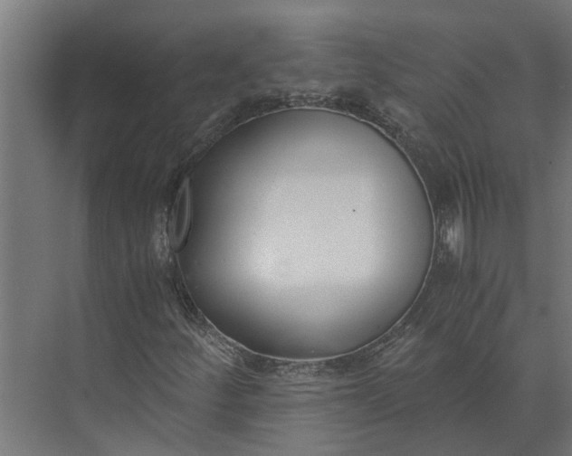 X0000073861252200608241059