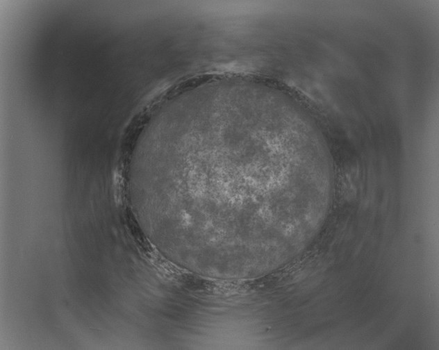 X0000073861254200608241059