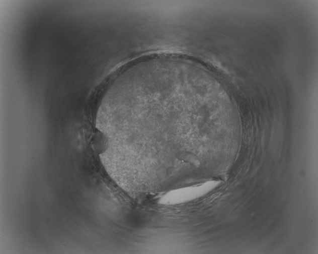 X0000073861255200608241059