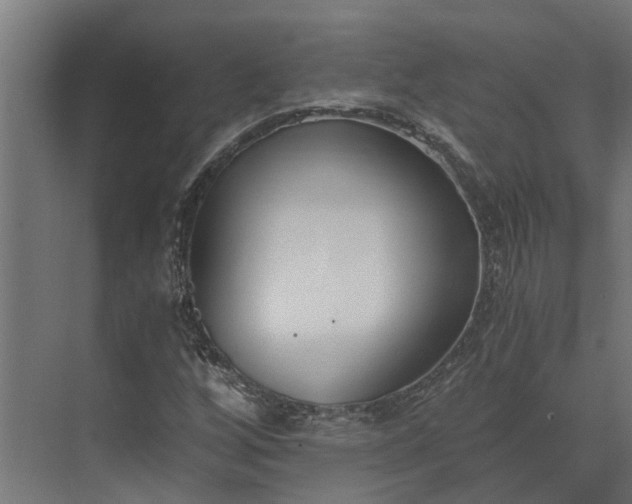 X0000073861256200608241059