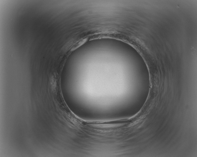 X0000073861257200608241059