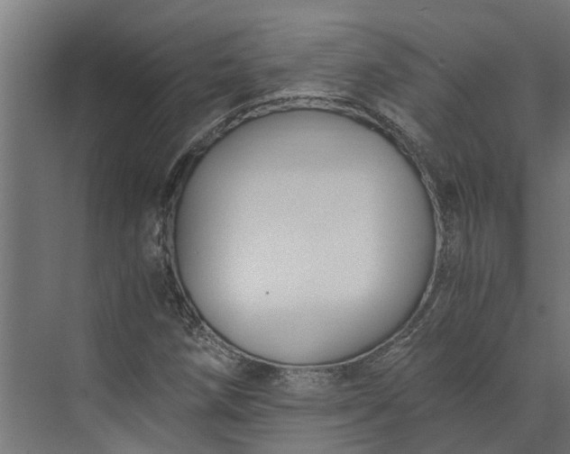 X0000073861258200608241059