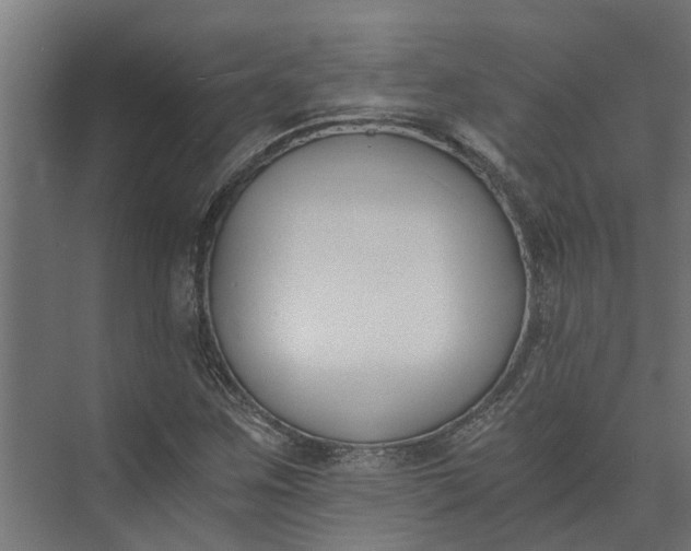 X0000073861259200608241059