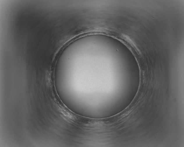 X0000073861260200608241059