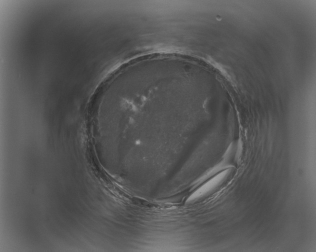 X0000073861263200608241059