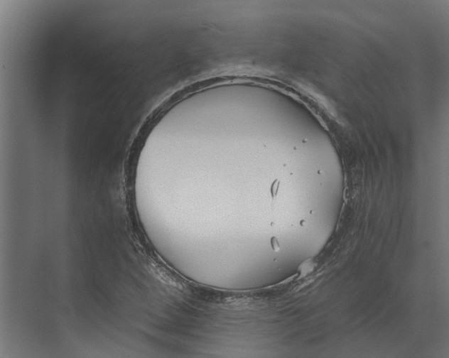 X0000073861264200608241059