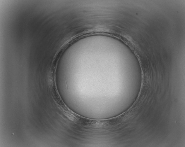 X0000073861266200608241059