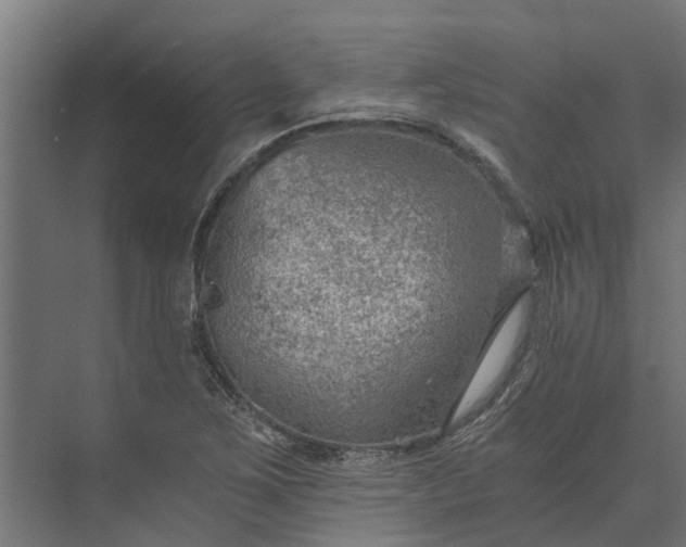 X0000073861267200608241059