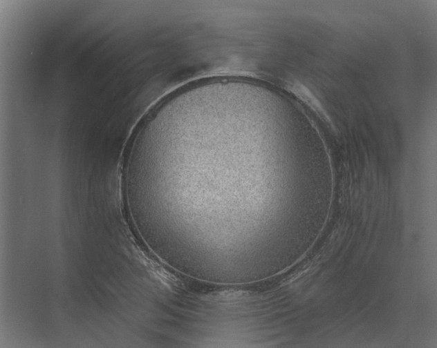 X0000073861268200608241059