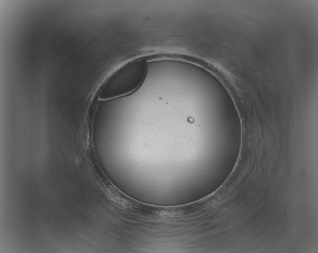 X0000073861271200608241059