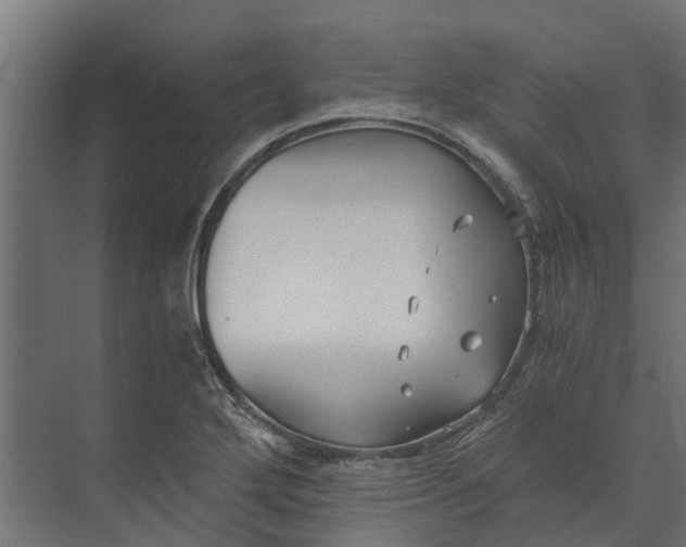 X0000073861272200608241059