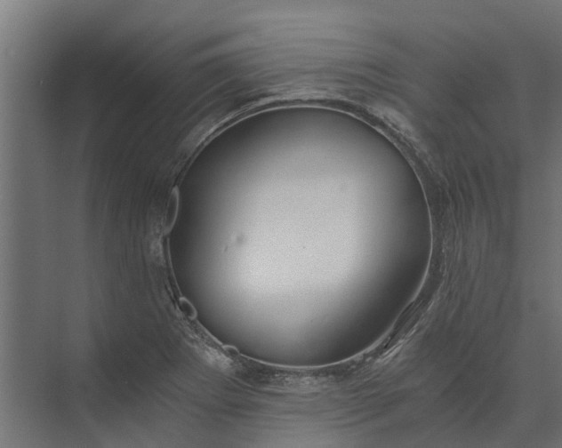 X0000073861273200608241059