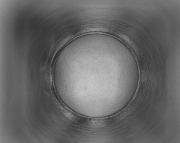 X0000073861274200608241059